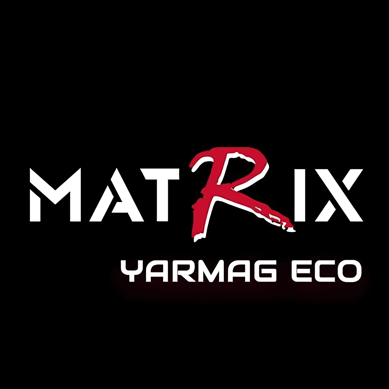 Matrix Hair Salon Logo